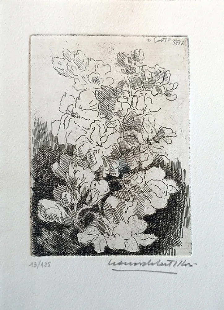 Engraving Castellani - Fiori