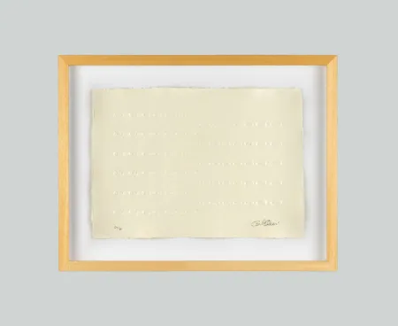 Relief Castellani - Superficie