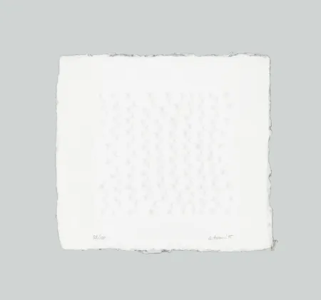 Relief Castellani - Superficie I