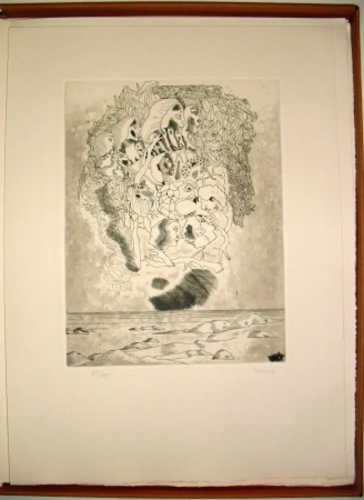 Illustrated Book Castillo - Canta a Sola Lisi