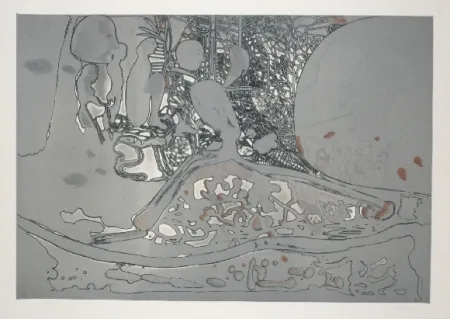 Etching And Aquatint Castillo - Jardin de invierno 2