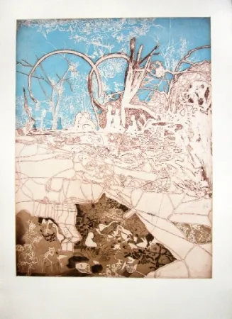 Etching And Aquatint Castillo - Tiergarten