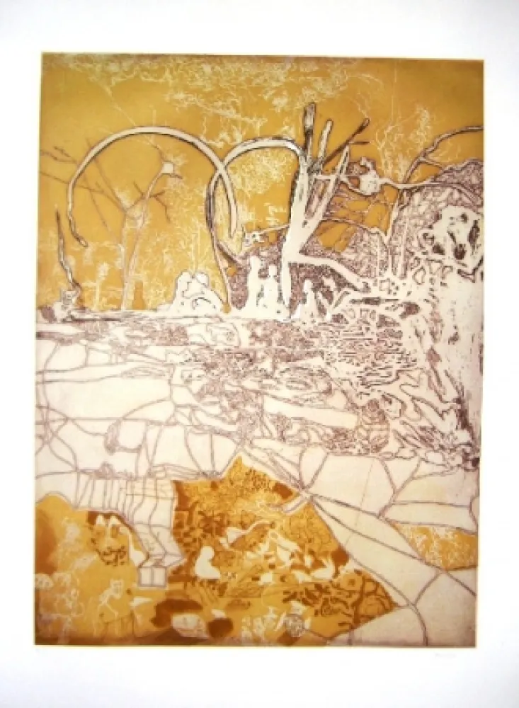 Etching And Aquatint Castillo - Tiergarten II