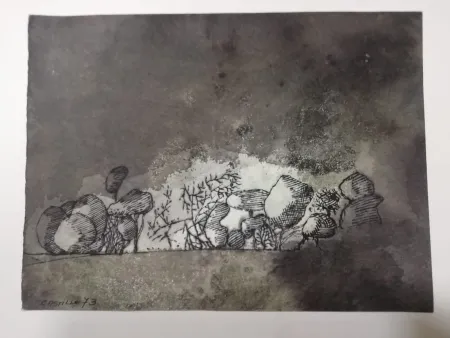 No Technical Castillo - Vista de Grünewald