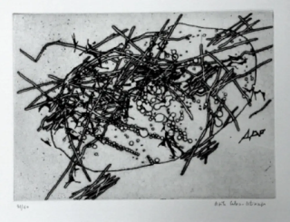Etching And Aquatint Celan Lestrange - Expansion