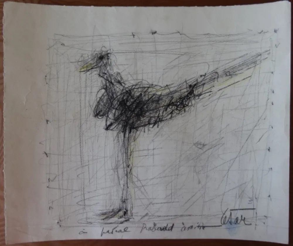 No Technical Cesar - La poule