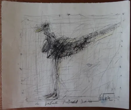 No Technical Cesar - La poule