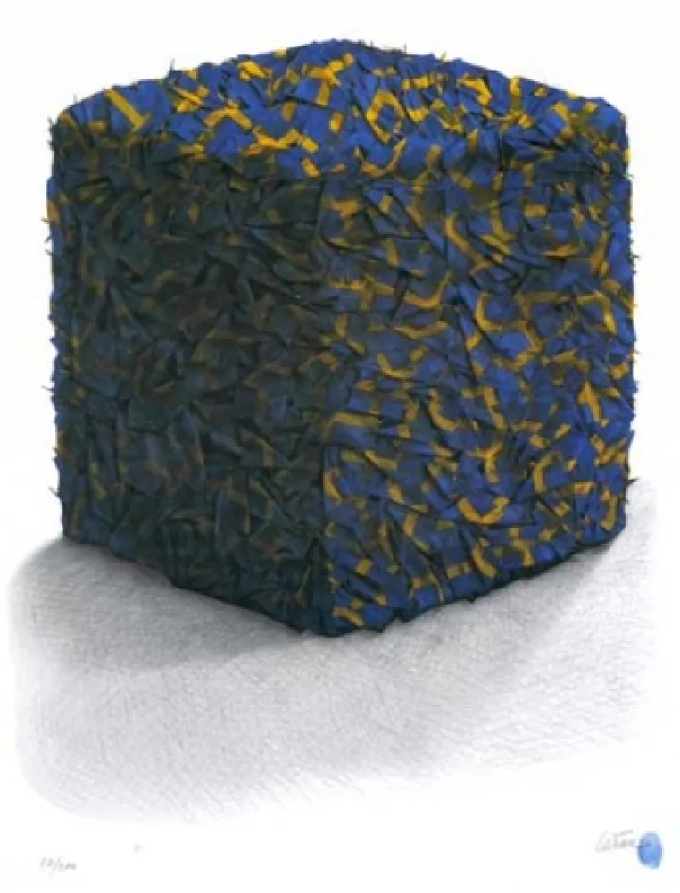 Screenprint Cesar - Portrait comp. drapeaux Suédois