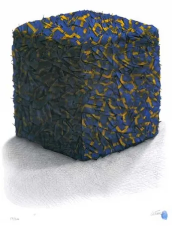 Screenprint Cesar - Portrait comp. drapeaux Suédois