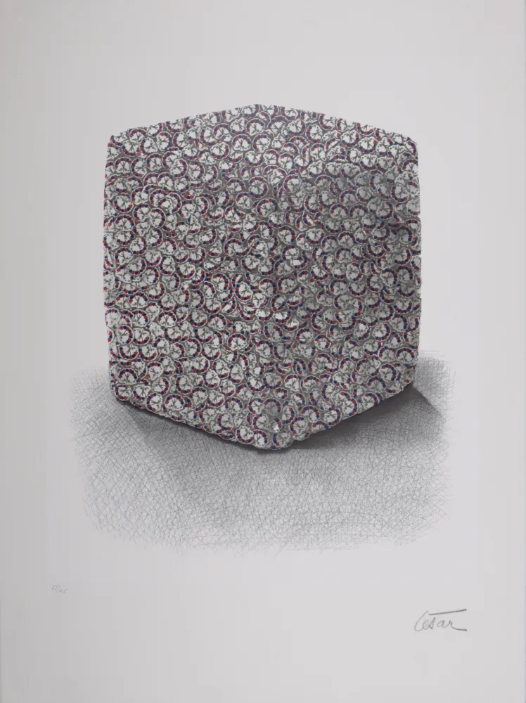 Screenprint Cesar - Portrait de Compression, C. 1980-1985