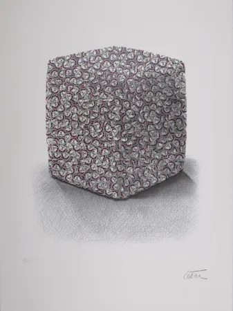 Screenprint Cesar - Portrait de Compression, C. 1980-1985