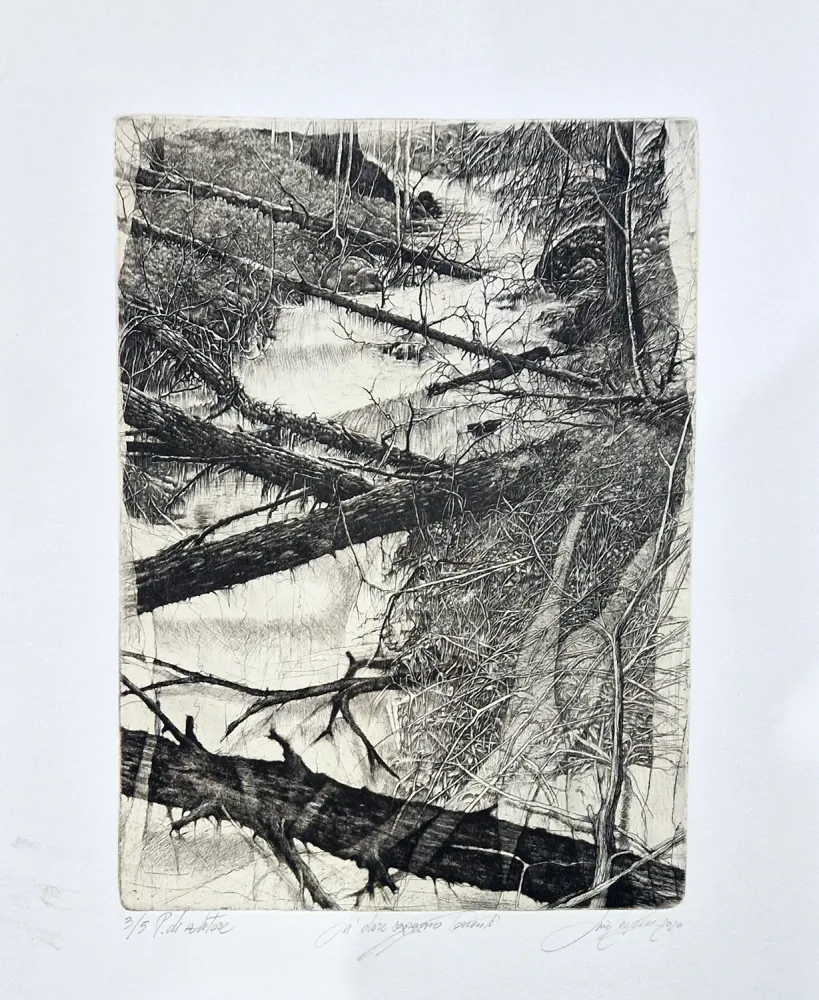 Engraving Ceschin - Là dove sgorgano torrenti