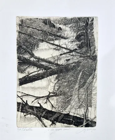 Engraving Ceschin - Là dove sgorgano torrenti