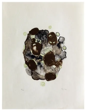 Lithograph Chaudouët - Lichens 2