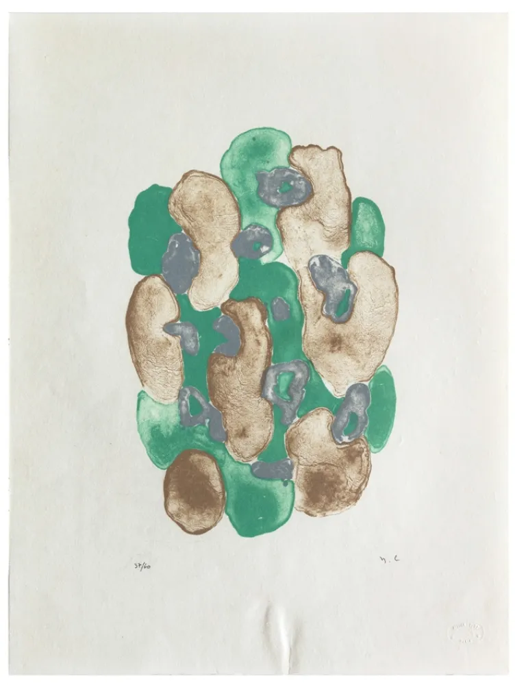 Lithograph Chaudouët - Lichens 3