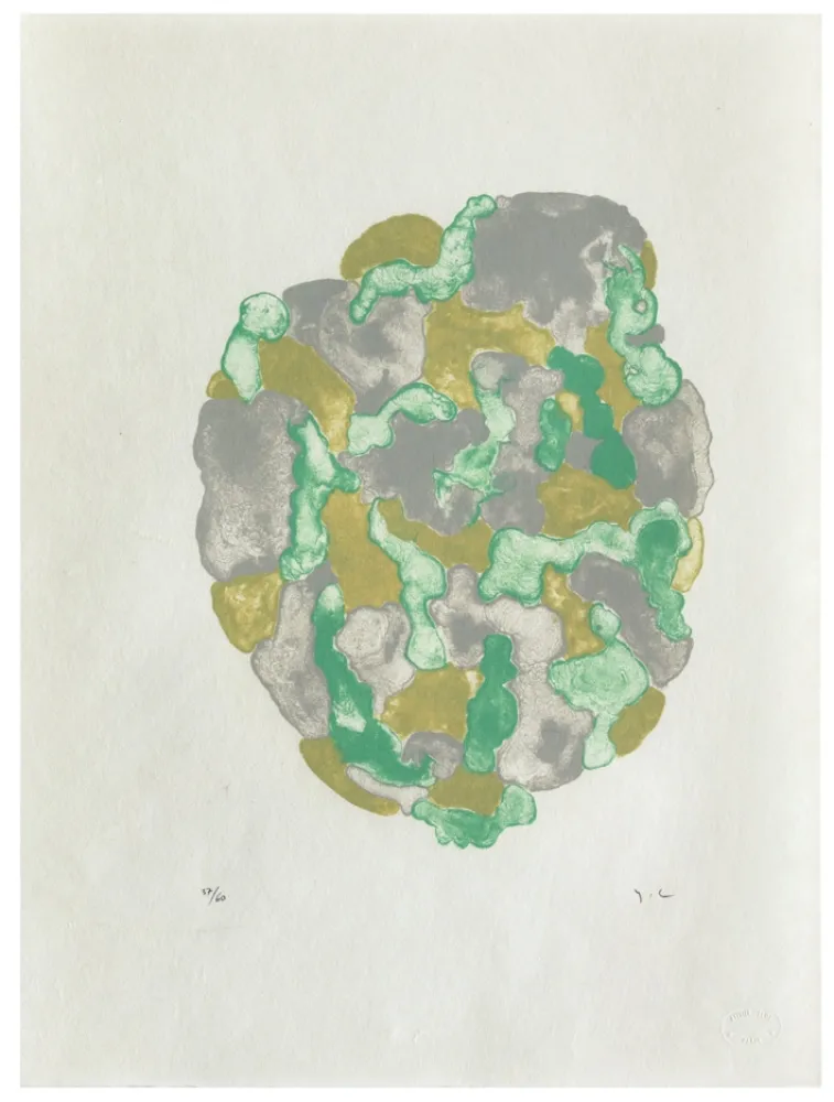 Lithograph Chaudouët - Lichens 4