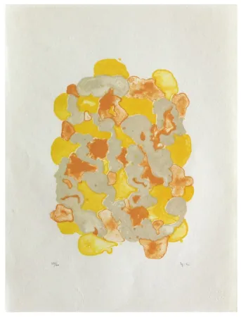 Lithograph Chaudouët - Lichens 7