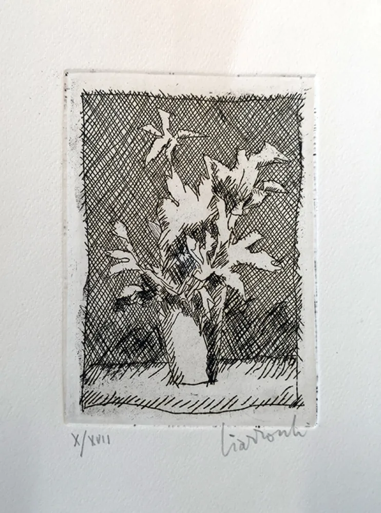 Engraving Ciarrocchi - Fiori