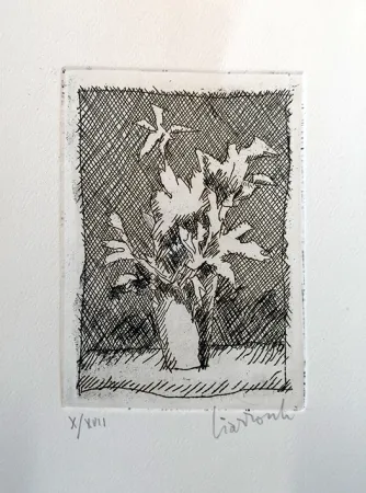 Engraving Ciarrocchi - Fiori