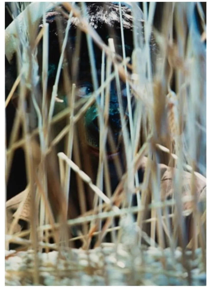 Photography Cindy - Untitled (from The Portfolio for Joseph Beuys)