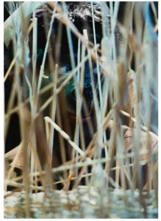 Photography Cindy - Untitled (from The Portfolio for Joseph Beuys)