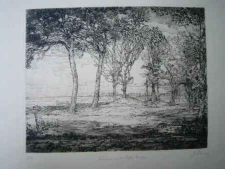 Drypoint Cissarz - Bäume an der Föhrer Marsch