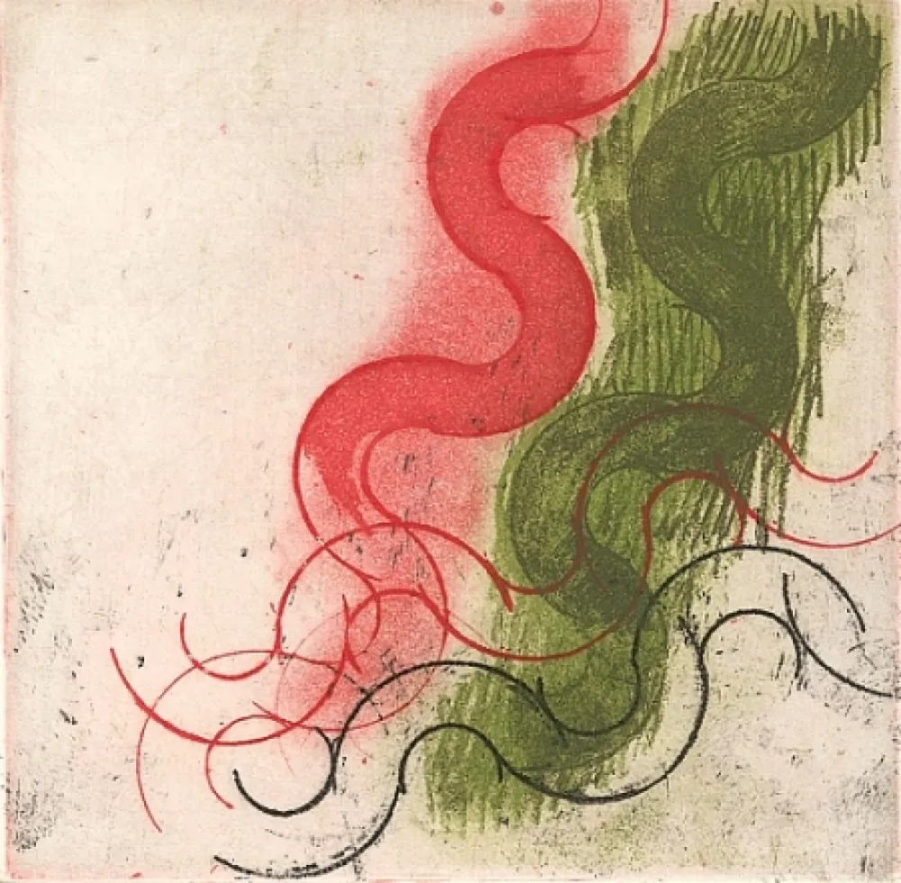 Illustrated Book Ciussi - Es - fragmenta