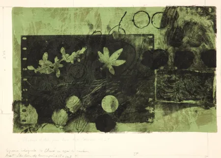 Lithograph Clavé - Feuille verte