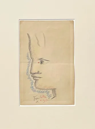 No Technical Cocteau - Profil à gauche