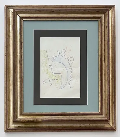 No Technical Cocteau - Profil aux courbes