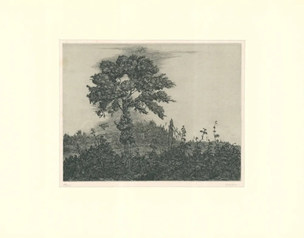 Etching Coester - Einzelner Baum