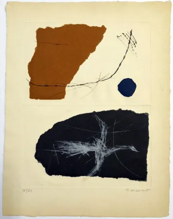 Engraving Coignard - Envols 1