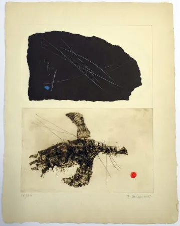 Engraving Coignard - Envols 3