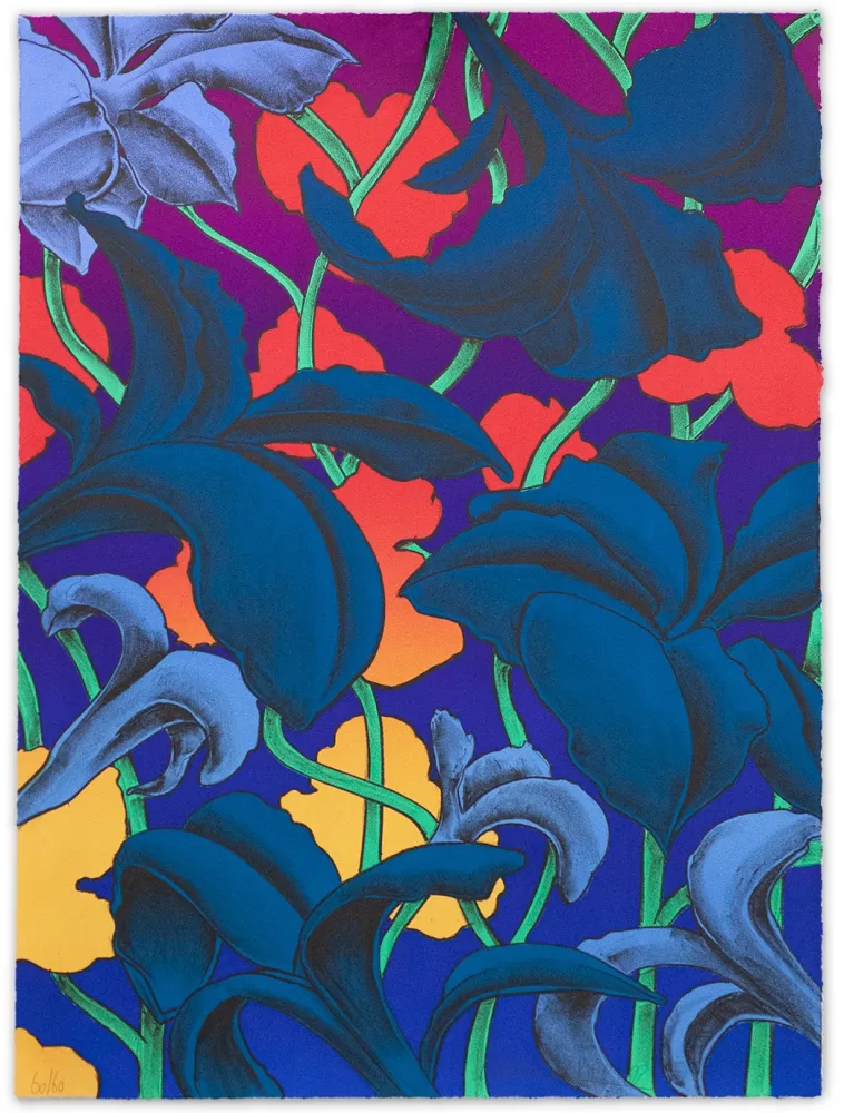 Lithograph Colombier - Look Up