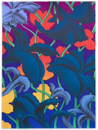 Lithograph Colombier - Look Up