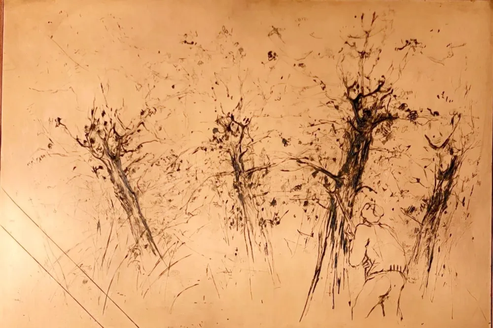 No Technical Commère - Chasseur à l'affût