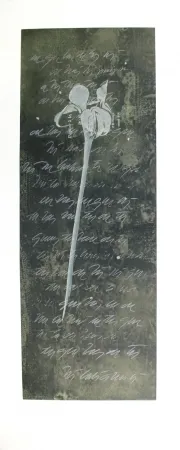Etching And Aquatint Conte - El lenguaje de las flores I