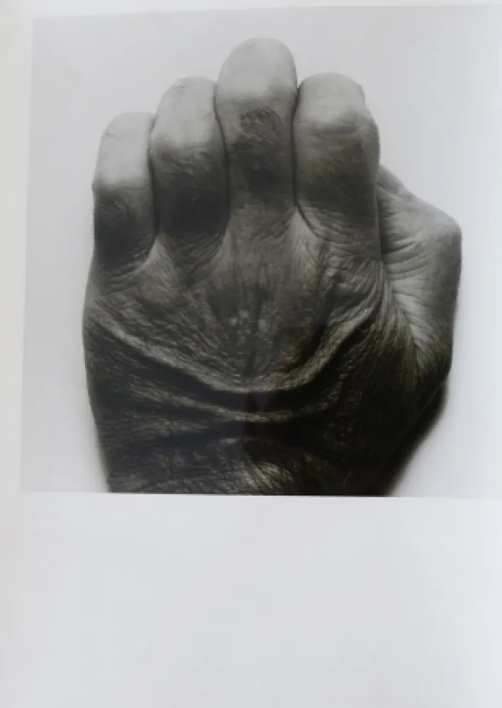 Photography Coplans - Selfportrait back of hand