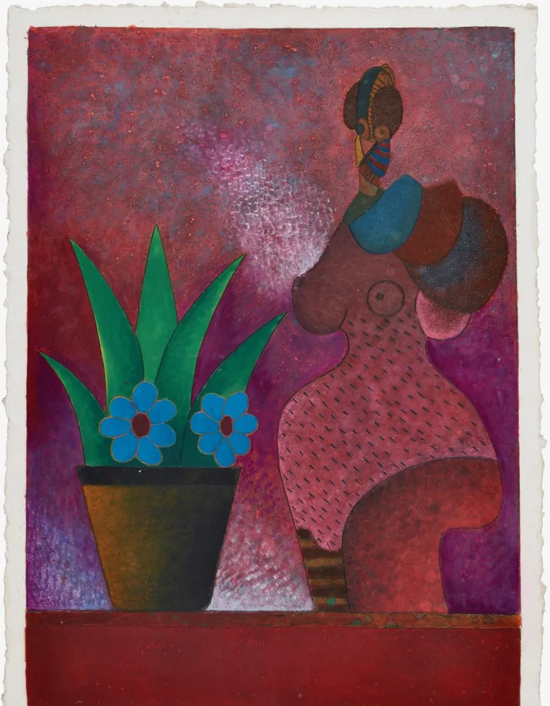 No Technical Cora - La Jardinera