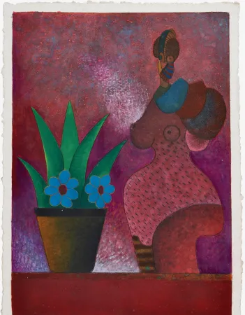 No Technical Cora - La Jardinera