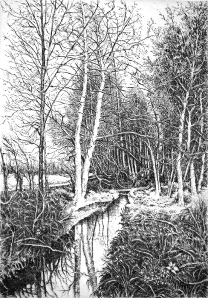 Engraving Cotugno  - Autunno