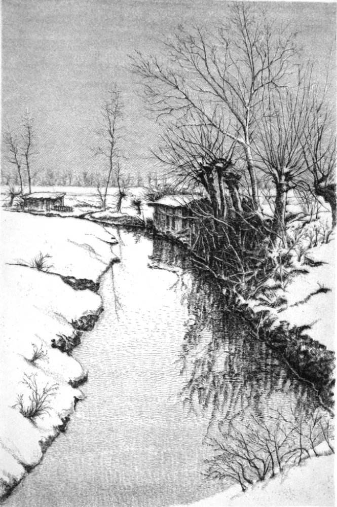 Engraving Cotugno  - Il Sillaro