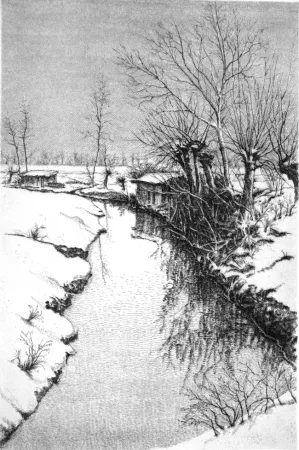 Engraving Cotugno  - Il Sillaro