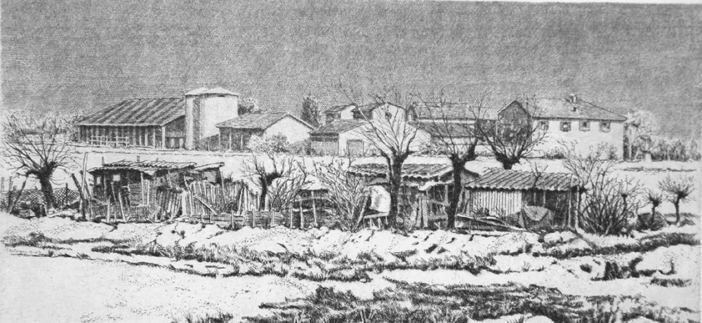 Engraving Cotugno  - Orti a cascina San Marco (I stato)