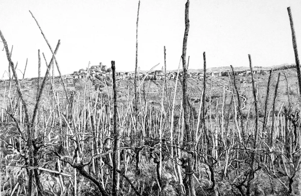 Engraving Cotugno  - Rovescala