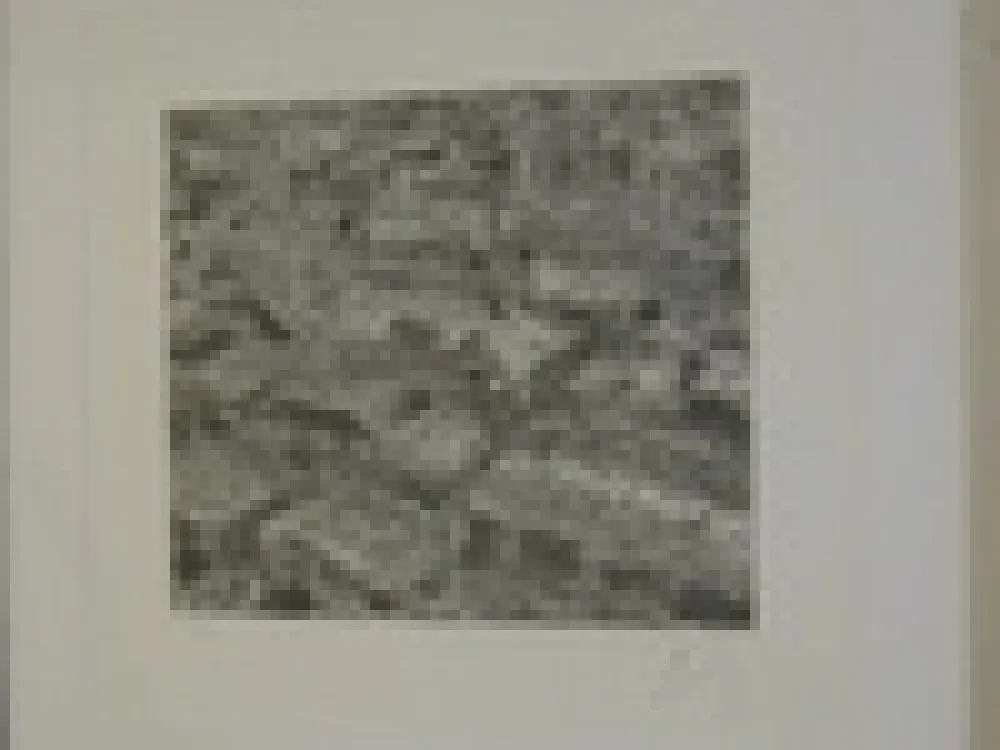 Etching Cragg - Traffic