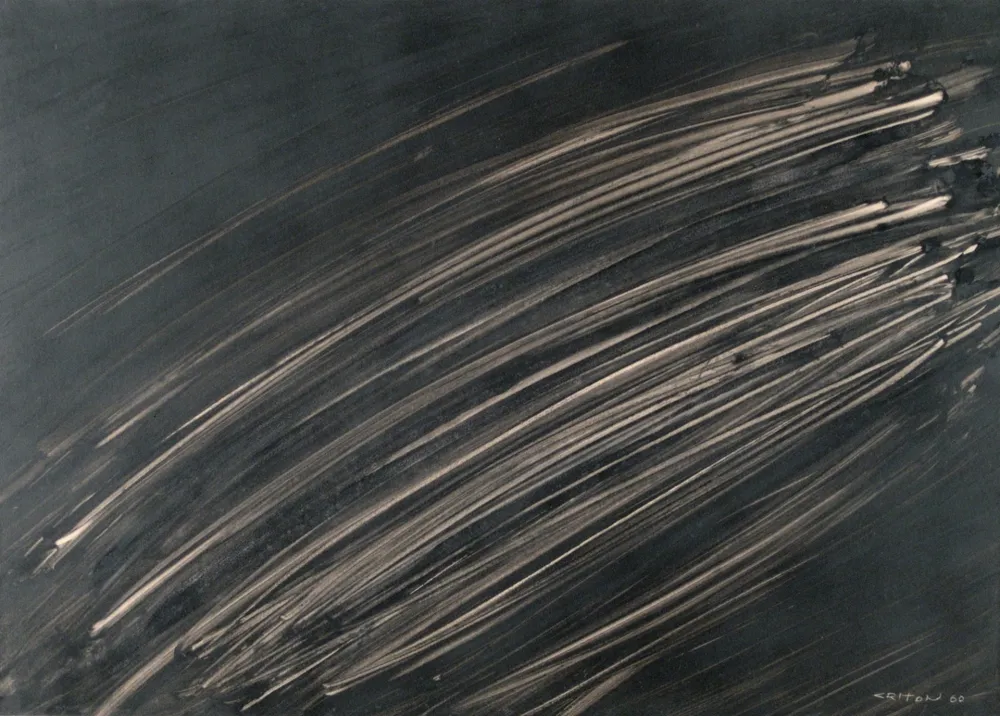 No Technical Criton - Technique mixte sur papier marouflée sur toile. 