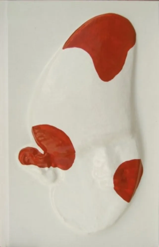 Illustrated Book Cucchi - La grande scimmia