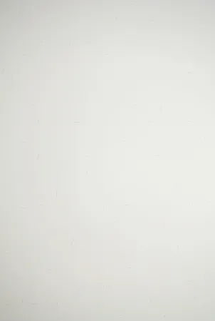 Lithograph Dadamaino - Senza titolo