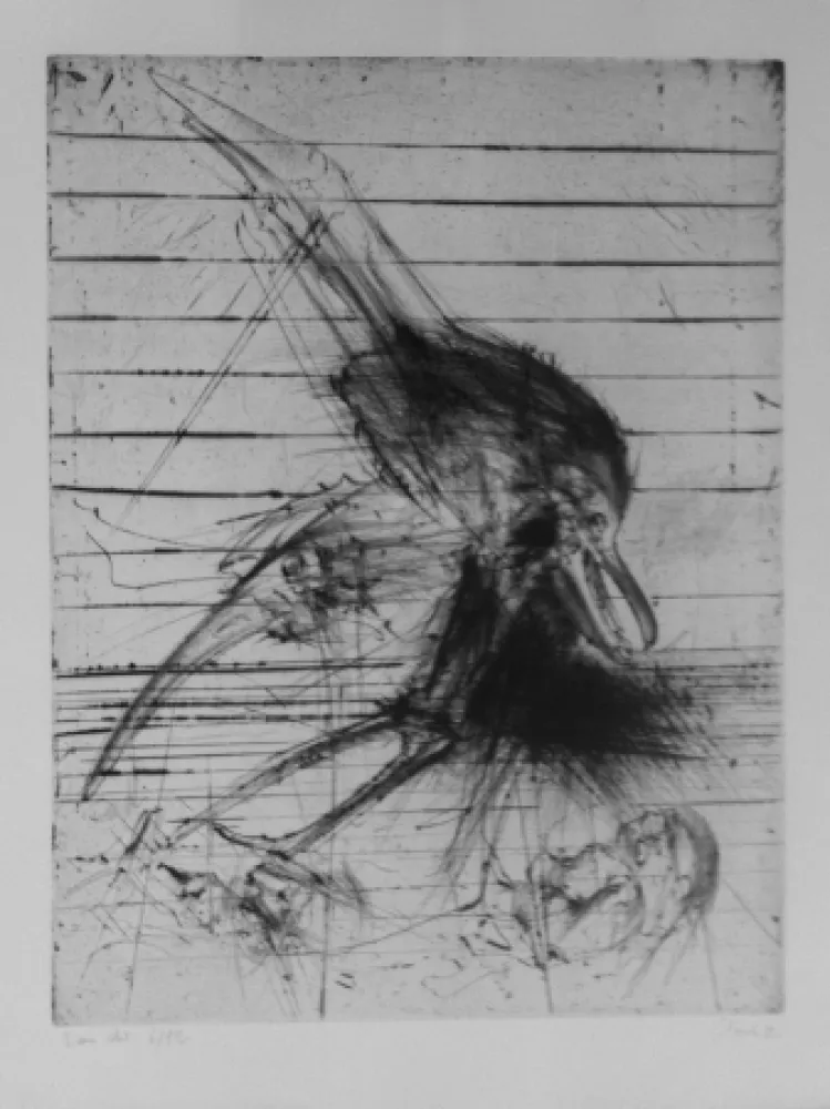 Etching Dado - Sans titre